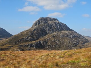 mountains, plants and animals in the Lochaber region of the Scottish highlands