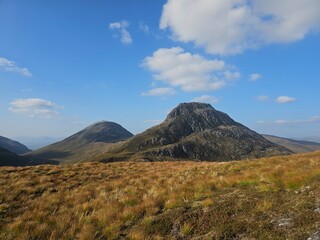 Fototapeta premium mountains, plants and animals in the Lochaber region of the Scottish highlands