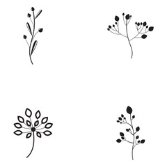 Floral Branch and Minimalist Flowers for Logo or Tattoo