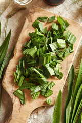 Chopped ibwort plantain leaves - ingredient for homemade herbal syrup against cough