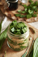 Preparation of ribwort plantain syrup for cough from fresh leaves and cane sugar