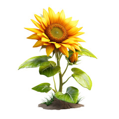 Sunflower with large green leaves, summer bloom element, 3D digital render, vibrant yellow and green hues, isolated on white background. 