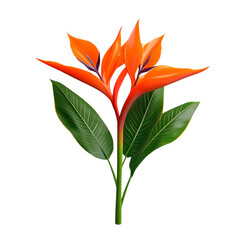 Tropical bird of paradise flower with green leaves, exotic bloom element, 3D digital render, bright orange and green tones, isolated on white background. 