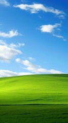 Fototapeta premium Green glass field nature sky backgrounds.