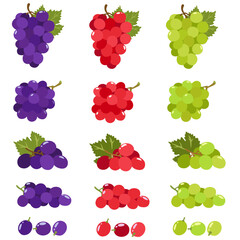 green purple  and red grape, isolated on white background .Vector illustration