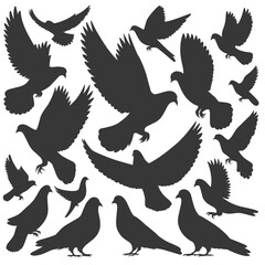 A collection of a pigeon's silhouette