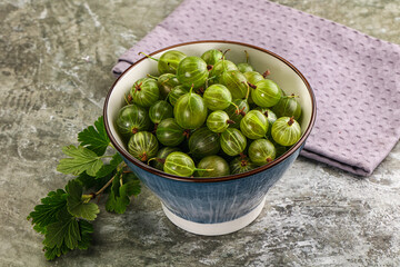 Ripe sweeet and juicy gooseberry
