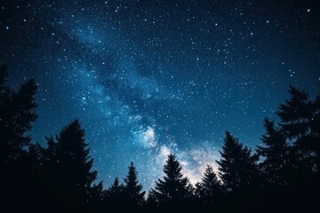 Naklejka premium Stunning Night Sky with Stars Over Tree Silhouette