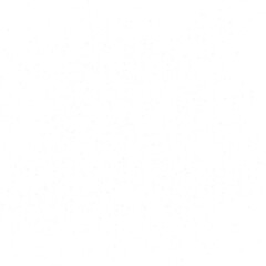 Realistic Snow Photo Overlay