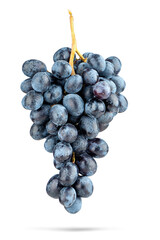 Bunch of dark blue grapes, isolated on a transparent background png.