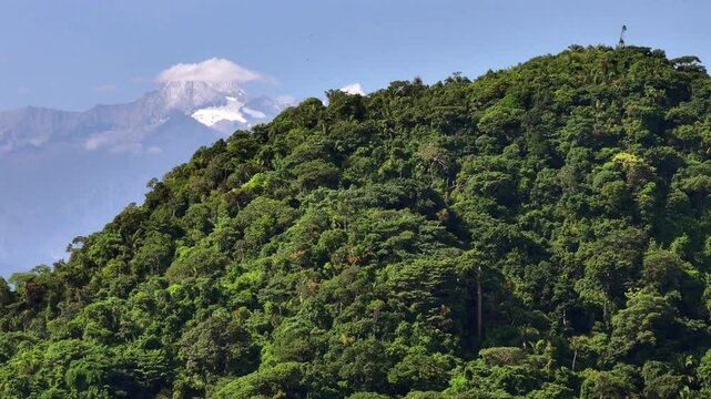 Mountain Pico Cristobal Colon Discovered Behind Jungle Hill Colombia