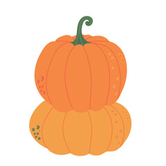 Hand drawn vector orange pumpkins isolated on white background. Flat colored illustration. Symbol of thanksgiving day, autumn, happy halloween, harvest design, farm, agriculture