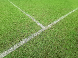 Fototapeta premium Soccer line in green grass of soccer field