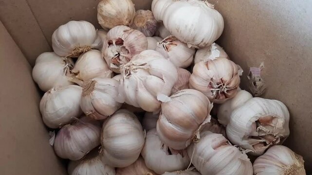a box filled with garlic