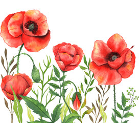Obraz premium Poppy Watercolor Illustration. Green Leaves and Flowers Aquarelle Trendy graphics. Greenery Branches and Blooming Wildflowers. Red Poppy bouquets for luxury wedding invitations, cards, labels.