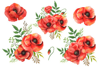 Poppy Watercolor Illustration. Green Leaves and Flowers Aquarelle Trendy graphics. Greenery Branches and Blooming Wildflowers. Red Poppy bouquets for luxury wedding invitations, cards, labels.