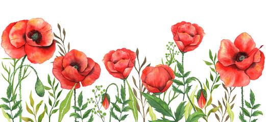 Fototapeta premium Poppy Watercolor Illustration. Green Leaves and Flowers Aquarelle Trendy graphics. Greenery Branches and Blooming Wildflowers. Red Poppy bouquets for luxury wedding invitations, cards, labels.