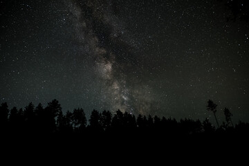 Fototapeta premium Milky Way Galaxy over the forest. Starry night background.