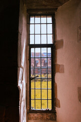 Peering Out the Window onto the Grounds