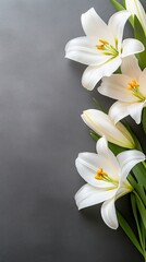 Fototapeta premium A stunning arrangement of white lilies paired with burning candles against a black backdrop, providing a tranquil atmosphere and ample space for text and design elements