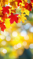 Fototapeta premium Autumn template with red maple leaves and sunlight