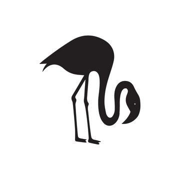 recommend clip art: Flamingo Standing silhouette design, Flamingo vector illustration
                    