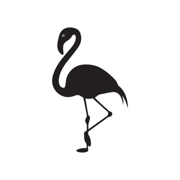 recommend clip art: Flamingo Standing silhouette design, Flamingo vector illustration
                    