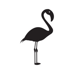 Flamingo Standing silhouette design, Flamingo vector illustration
