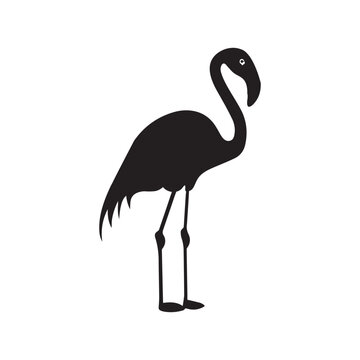 recommend clip art: Flamingo Standing silhouette design, Flamingo vector illustration
                    