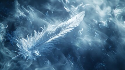 Close-up of feather pigeon macro photo. texture or background.