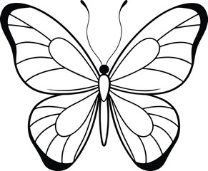 Fototapeta premium silhouette big butterfly line art style on white background.
