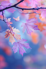 Obraz premium Colorful autumn maple leaves on a branch with a blurred background.