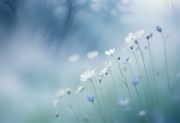 Blurry blue and white abstract background with faint flower shapes