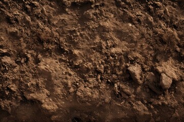 Soil texture outdoors nature rock.