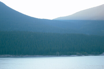 Mountain Surrounded by a Pine Forest and Lake