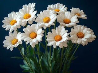Fototapeta premium a group of white flowers
