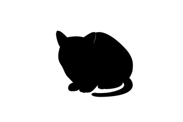 The silhouette of a sitting cat. Vector illustration.