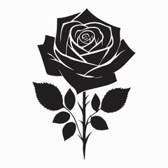 rose black silhouettes with white background