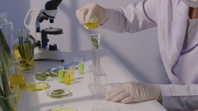 Sample video of an aloe vera experiment in the laboratory. A scientist is pouring solution into a test tube with a funnel containing leaves on top, surrounded by aloe vera and laboratory equipment.