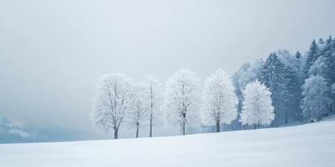 A serene winter landscape featuring snow-covered trees in a tranquil scene under a pale sky.