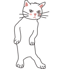 angry white cat