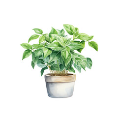 Fototapeta premium Plant Clipart Vector Illustration