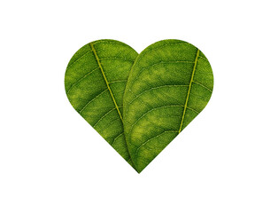 Green Heart made of green leaves on soil background ecology concept