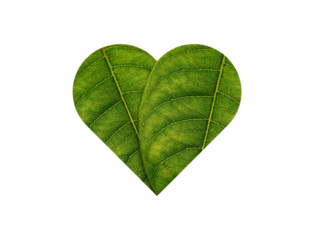 Green Heart made of green leaves on soil background ecology concept