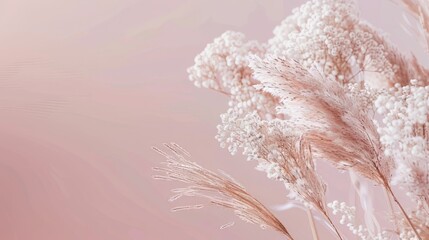 A soft, feathery pampas grass plume gently swaying