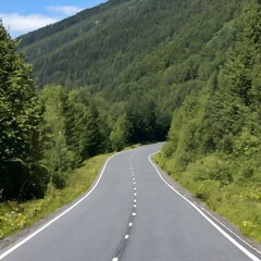 Fototapeta premium Kurvige Straße zwischen Wäldern und Bergen