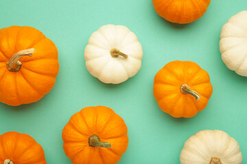 Mini orange and white pumpkins on mint background.