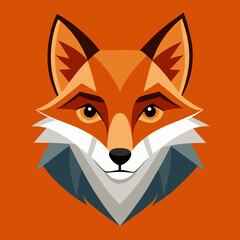 Fototapeta premium red fox head