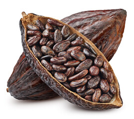 Cocoa fruit and cocoa bean isolated on white. Cocoa set with clipping path. Cocoa full depth of field