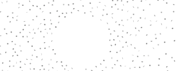 Silver star of confetti.